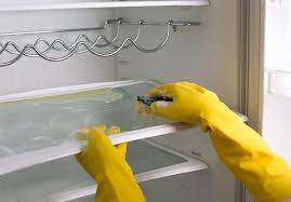 Professional Cleaning Service Near Me